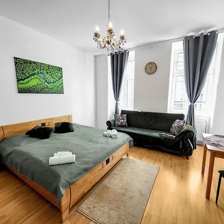 Davidov Stays Danube Vienne Chambre photo